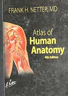 کتاب دست دوم Atlas of HUMAN Anatomy 4th Edition by Frank H. Netter ,MD  -مصور رنگی